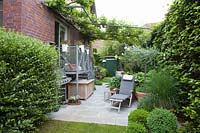 Terrasse dans un petit jardin avec pergola à vin, Vitis vinifera 