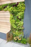 Mur végétal dans un jardin moderne 