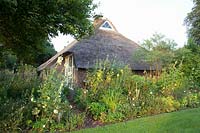Maison de campagne avec lit d'herbes jaunes 