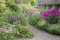 Jardin de devant avec Phlox paniculata Düsterlohe, Monarda Violetta, Stachys officinalis 