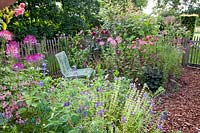 Jardin rural avec fleurs annuelles d'été, Cosmos bipinnatus Rubenza, Salvia viridis, Cleome, Lavatera trimestris, Dahlia Purple Haze 