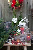 Décoration de Noël avec fausses baies et conifères nains, Gaultheria, Coniferales 