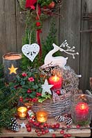 Décoration de Noël avec fausses baies et conifères nains, Gaultheria, Coniferales 