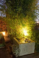 Lumière dans le jardin, bambous éclairés par un spot et un bassin d'eau 