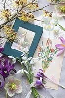 Nature morte aux premières floraisons, Galanthus nivalis, Iris reticulata Pauline, Hamamelis intermedia Arnold Promise, Crocus Spring Beauty 