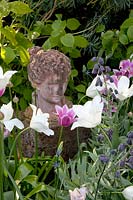 Buste et Tulipa Triumphator Blanc 