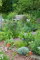 Jardin d'herbes aromatiques avec curry, ciboulette, fenouil, Helichrysum italicum, Allium schoenoprasum, Foeniculum vulgare 