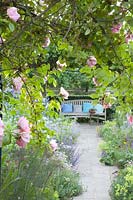 Vue à travers une arche de roses sur un banc, Rosa Compassion 