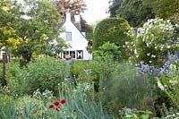 Légumes, fines herbes et plantes vivaces dans le jardin de la maison de campagne 
