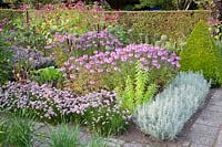 Jardin de chalet à la fin de l'été, Cleome Senorita Rosalita, Allium senescens, Persicaria orientalis, Helichrysum italicum 