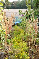 Potager en automne avec des têtes de graines d'orach, Atriplex hortensis rubra, Tagetes 