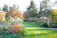 Siège de jardin d'automne, Cotinus coggygria Royal Purple ; Miscanthus sinensis 