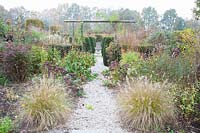 Jardin en novembre avec Pennisetum, Pennisetum alopecuroides Hameln 