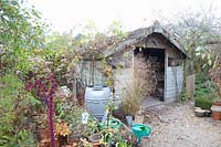 Jardin en novembre 