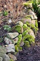 Mur de pierres moussues dans le jardin 