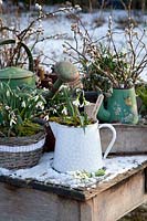Nature morte avec petit pot à lait et perce-neige, Galanthus plicatus South Hayes 