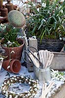 Panneaux de plantes mortes pour perce-neige, Galanthus 