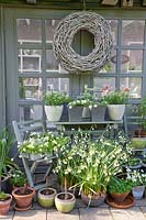 Terrasse de jardin en pot 