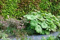 Plantes vivaces au bord de l'étang devant une haie de hêtre pourpre et de hêtre pourpre, Fagus sylvatica Purpurea, Fagus sylvatica 