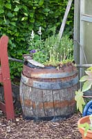 Ancien baril d'eau comme jardinière rustique 