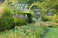 Lit avec oignons ornementaux à floraison estivale, plantes vivaces, graminées, Allium Summer Beauty, Echinacea purpurea 