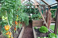 Construction d'une serre ouverte avec des légumes dans des plates-bandes surélevées 