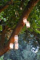 Lanternes dans un arbre 