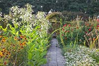 Jardin avec tabac ornemental, Nicotiana sylvestris, Dahlia, Allium tuberosum 