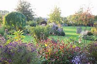 Jardin en automne avec des plantes vivaces, des arbres à cordes et des pommetiers, Sophora japonica Pendula, Malus Evereste 