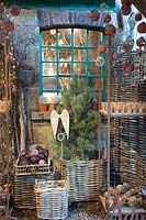 Décoration de Noël avec pin dans un panier, Pinus 