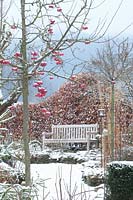 Pommetier et siège dans le jardin d'hiver, Malus Red Sentinel 