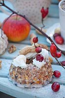 Graines pour oiseaux sous forme de gâteau 