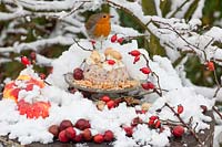 Petit gâteau pour oiseaux aux merles 