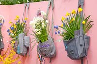 Fleurs d'oignon dans des sacs peints 
