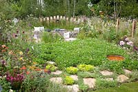 Jardin naturel avec trèfle et herbes comme couvre-sol 