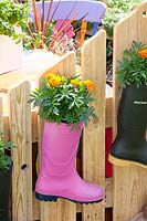 Des bottes en caoutchouc plantées de fleurs d'étudiants 