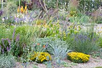 Lit dans le jardin de gravier, Santolina, Château d'Artemisia Powis, Nepeta tuberosa, Phlomis russeliana, Elymus magellanicus 