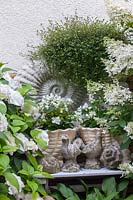 Plantes en pot et décoration sur une table, Begonia semperflorens 