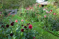 Jardin de maison de campagne avec dahlias 