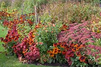 Lit avec des plantes annuelles et vivaces, Rudbeckia hirta Autumn Colors, Sedum Autumn Joy 