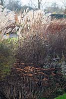 Lit en novembre, Miscanthus sinensis, Sedum telephium Autumn Joy, Sahins Early Flowerer 