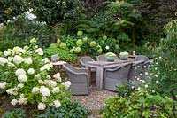 Assise avec hortensias, Hydrangea arborescens Annabelle, Hydrangea paniculata Limelight 