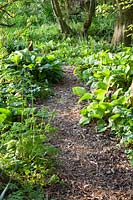 Allée dans le jardin naturel 