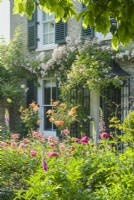 Vue d'un jardin devant une maison victorienne en été avec Rosa 'Boscobel' fleurie dans un parterre de pivoines. Rosa 'Francis E. Lester' s'est entraînée devant la porte d'entrée. Peut. 