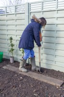 Femme creusant un trou pour les plants de mûres 