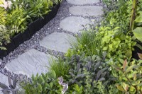 Parterre de fleurs d'herbes aromatiques avec salvia, mélisse et ciboulette le long du sentier de pierre et de gravier 