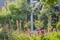 Vue d'une petite roseraie devant une maison victorienne. Rosiers arbustifs, digitales et pivoines avec des rosiers lianes dressés sur le devant de la maison et au-dessus du porche. Juin. 
