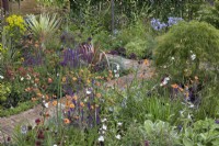 Parterres de fleurs de plantes vivaces telles que geum, alliums, hostas et achillea avec un chemin en brique qui traverse le jardin « Greener Pastures » au BBC Gardener's World Live 2015, juin 