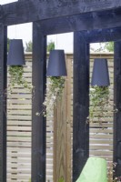 Pots noirs de lierre à l'envers, suspendus à une pergola noire dans le jardin « Our Place » au BBC Gardener's World Live 2015 