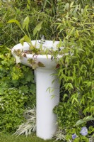 Bassin de salle de bain planté de plantes marginales dans le jardin « Recyclé et réutilisé » au BBC Gardener's World Live 2015, juin 